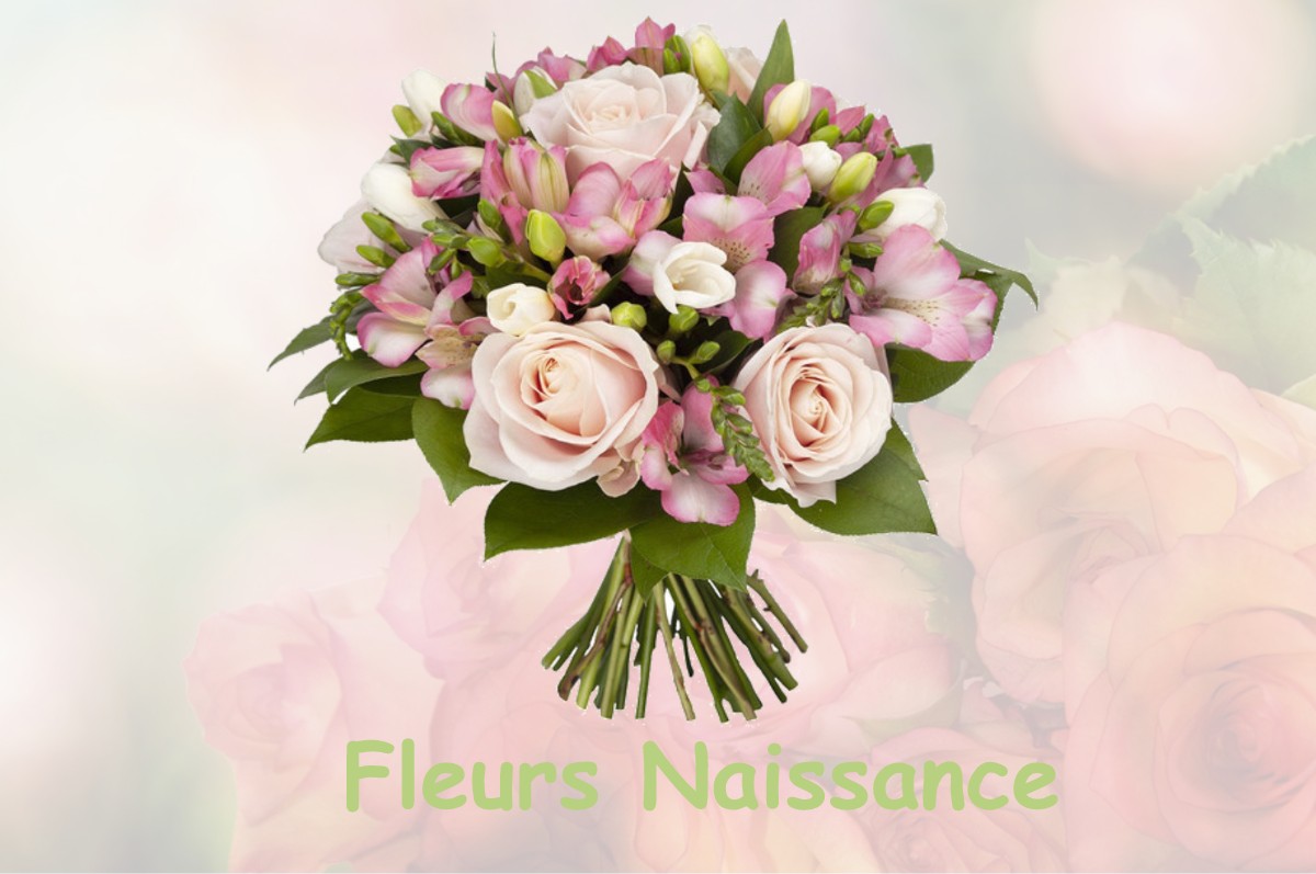 fleurs naissance ECHILLEUSES