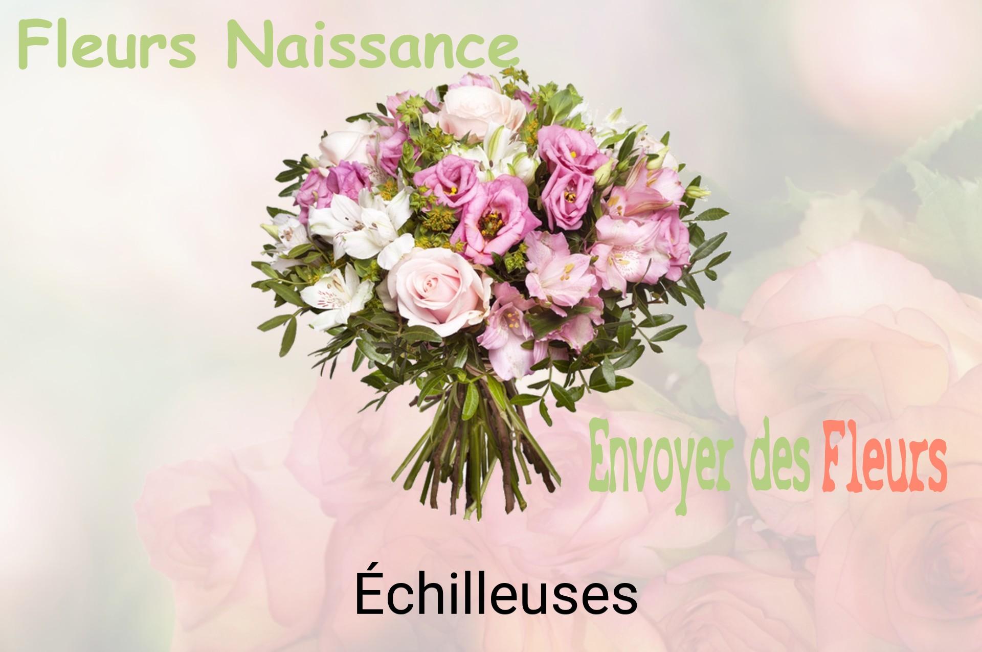 Bouquet de fleurs de naissance livré à Échilleuses