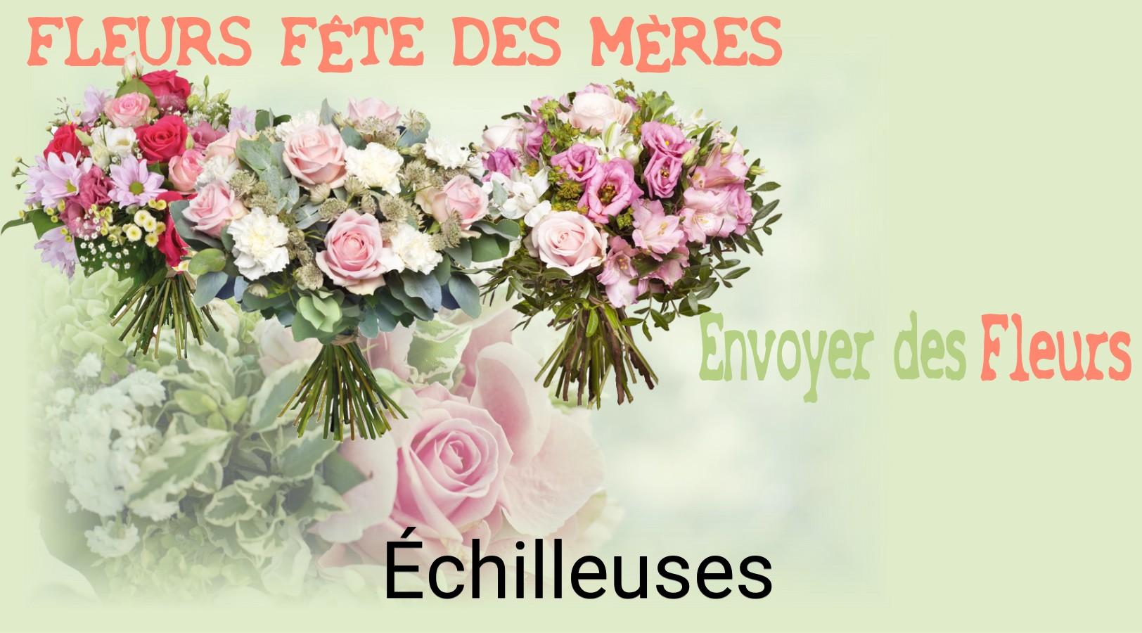 Bouquet de Fête des Mères livré à Échilleuses