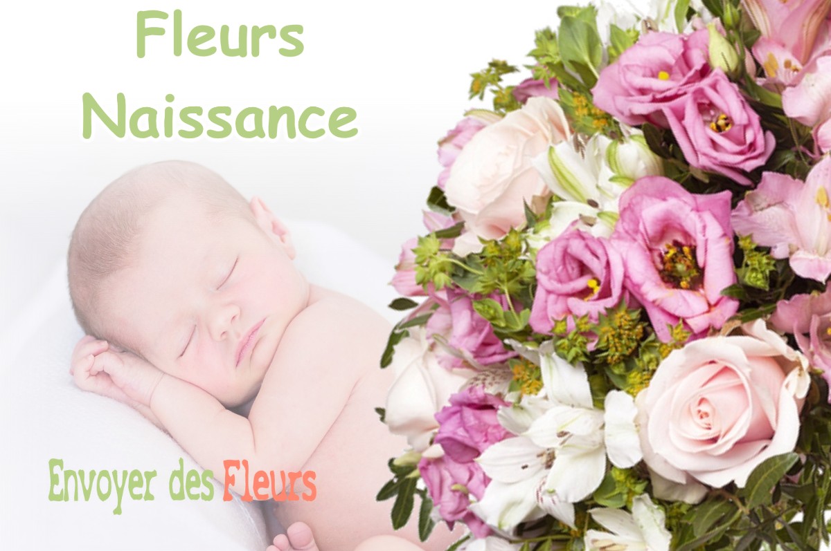 lIVRAISON FLEURS NAISSANCE à ECHILLEUSES